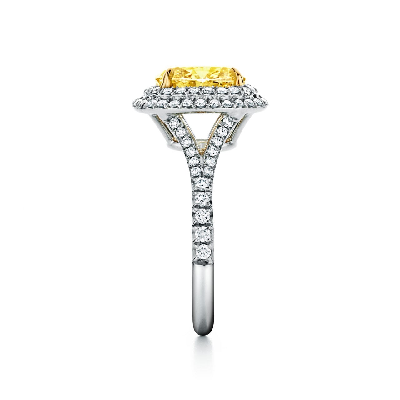 Oval Yellow Diamond Double Halo Engagement Ring in Platinum