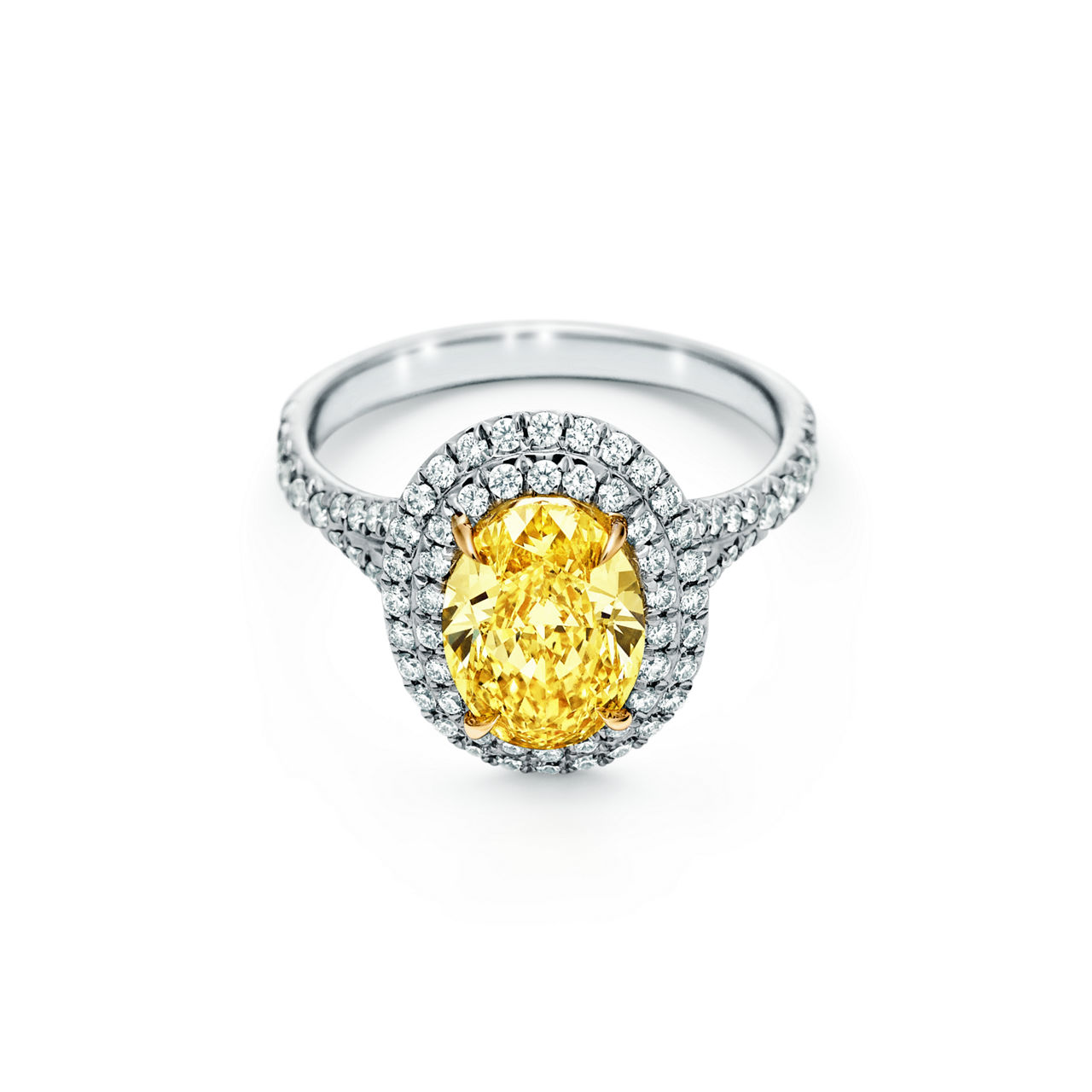 Oval Yellow Diamond Double Halo Engagement Ring in Platinum